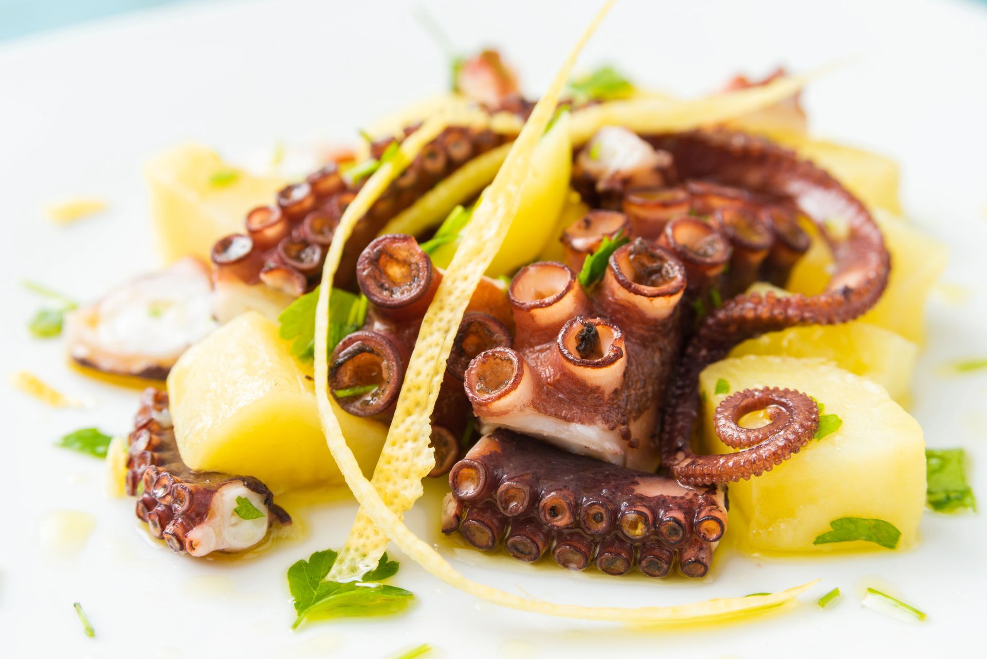 Insalata di polpo con patate, guarnita con erbe aromatiche e scorza di limone su un piatto bianco.