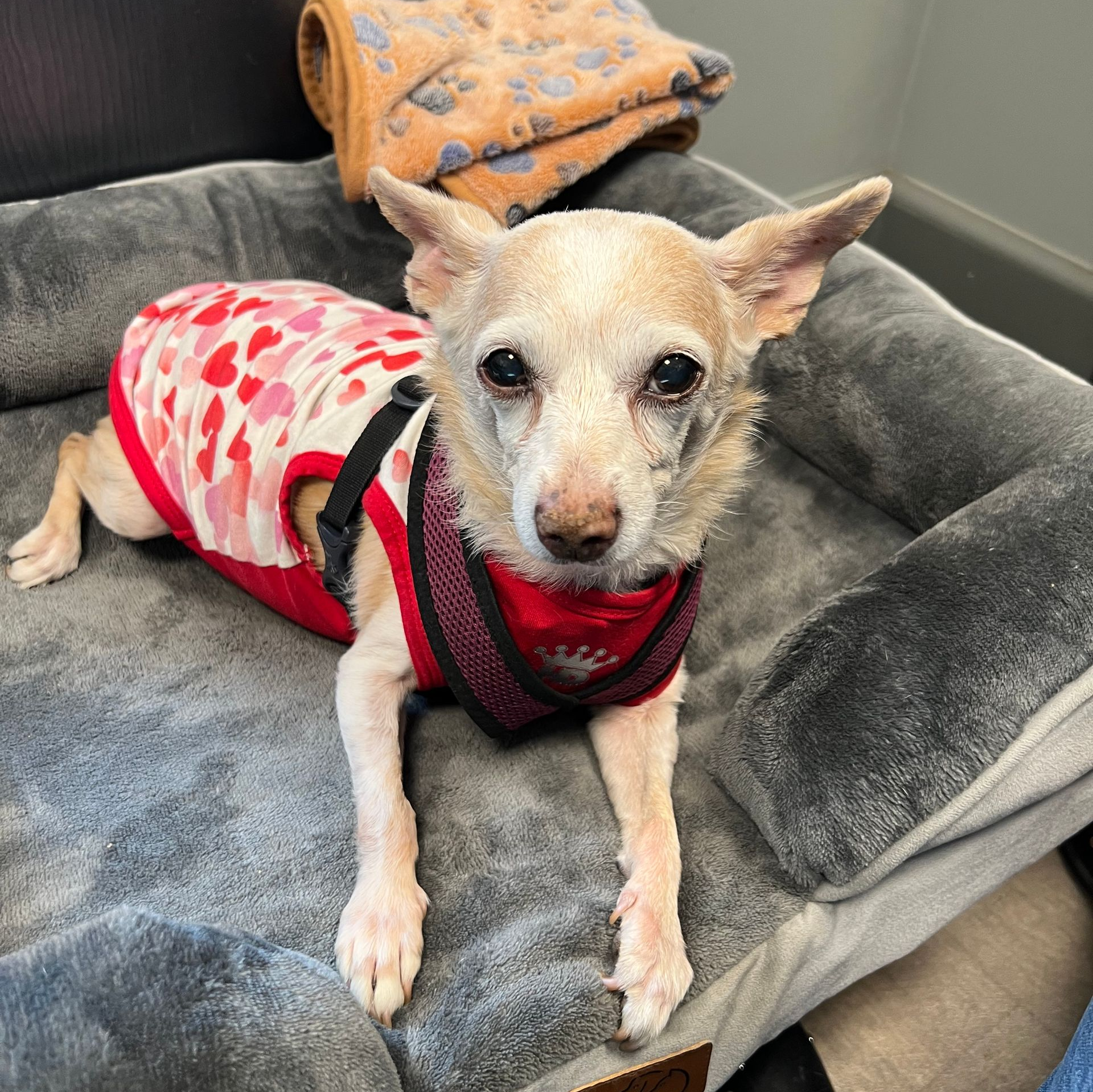 Three people, including two wearing gray work shirts and one in a pink shirt, standing outdoors in front of a vehicle.