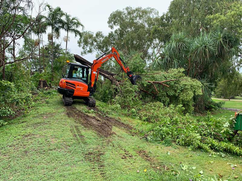 Cutting branches from tree — Arafura Tree Services and Consulting in Pinelands, NT
