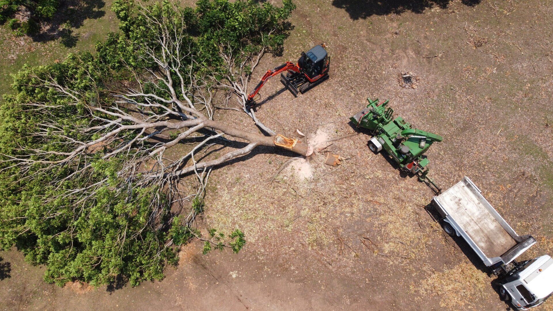 Cleans street from fallen tree — Arafura Tree Services and Consulting in Pinelands, NT