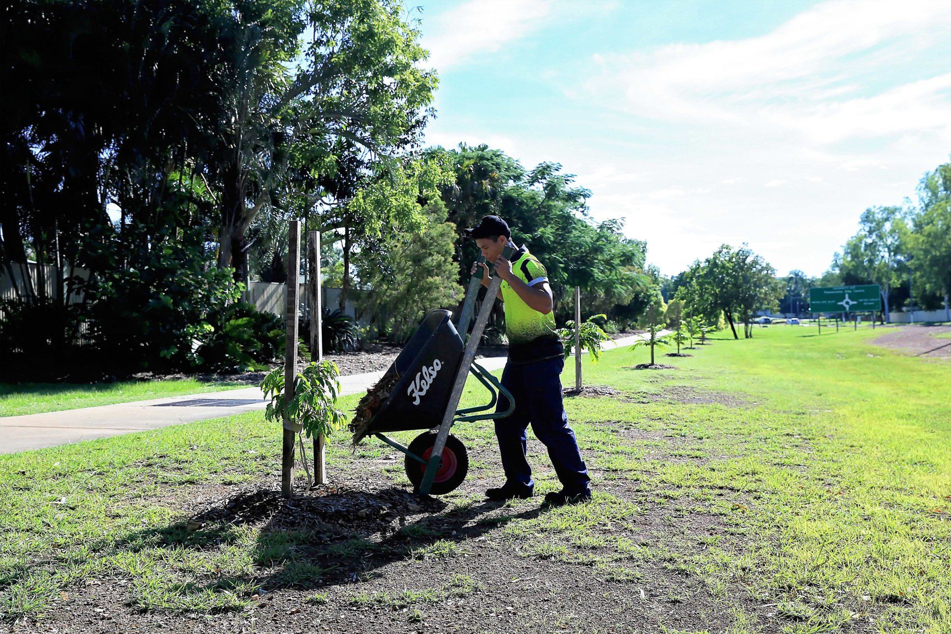 Planting New Tree — Arafura Tree Services and Consulting in Pinelands, NT