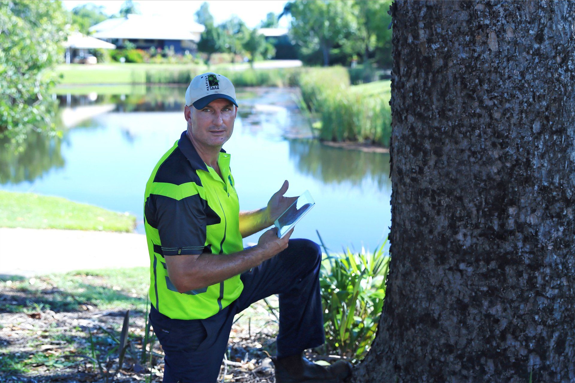 Senior Tree Climber — Arafura Tree Services and Consulting in Pinelands, NT