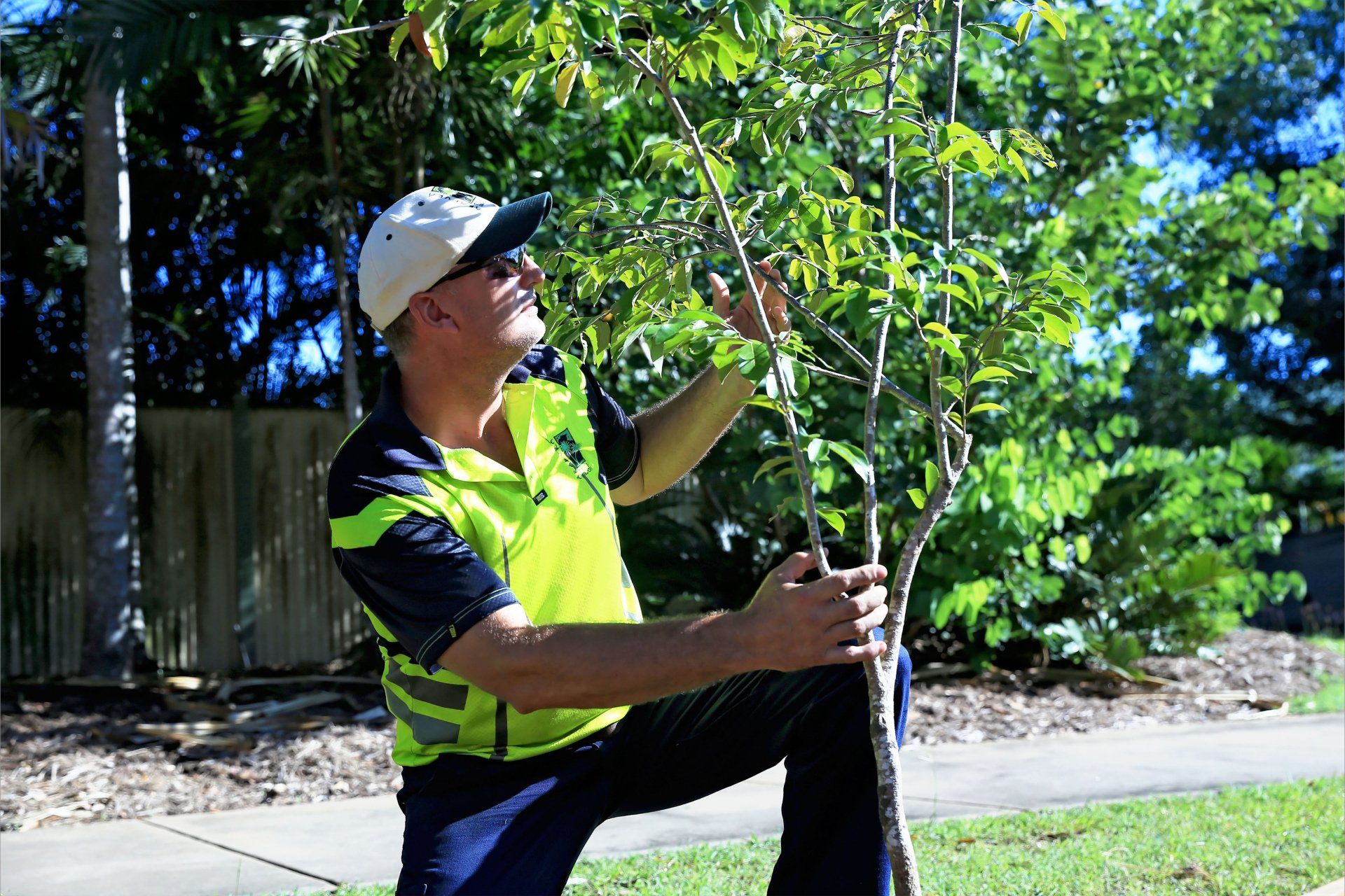 Arborists In Darwin — Arafura Tree Services and Consulting in Pinelands, NT