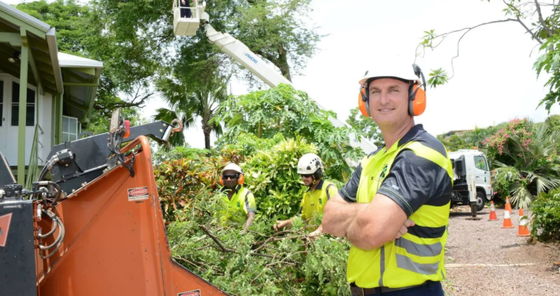 Man cuts tree with chainsaw — Arafura Tree Services and Consulting in Pinelands, NT