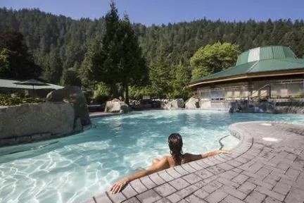 A woman is relaxing in a large swimming pool surrounded by trees.