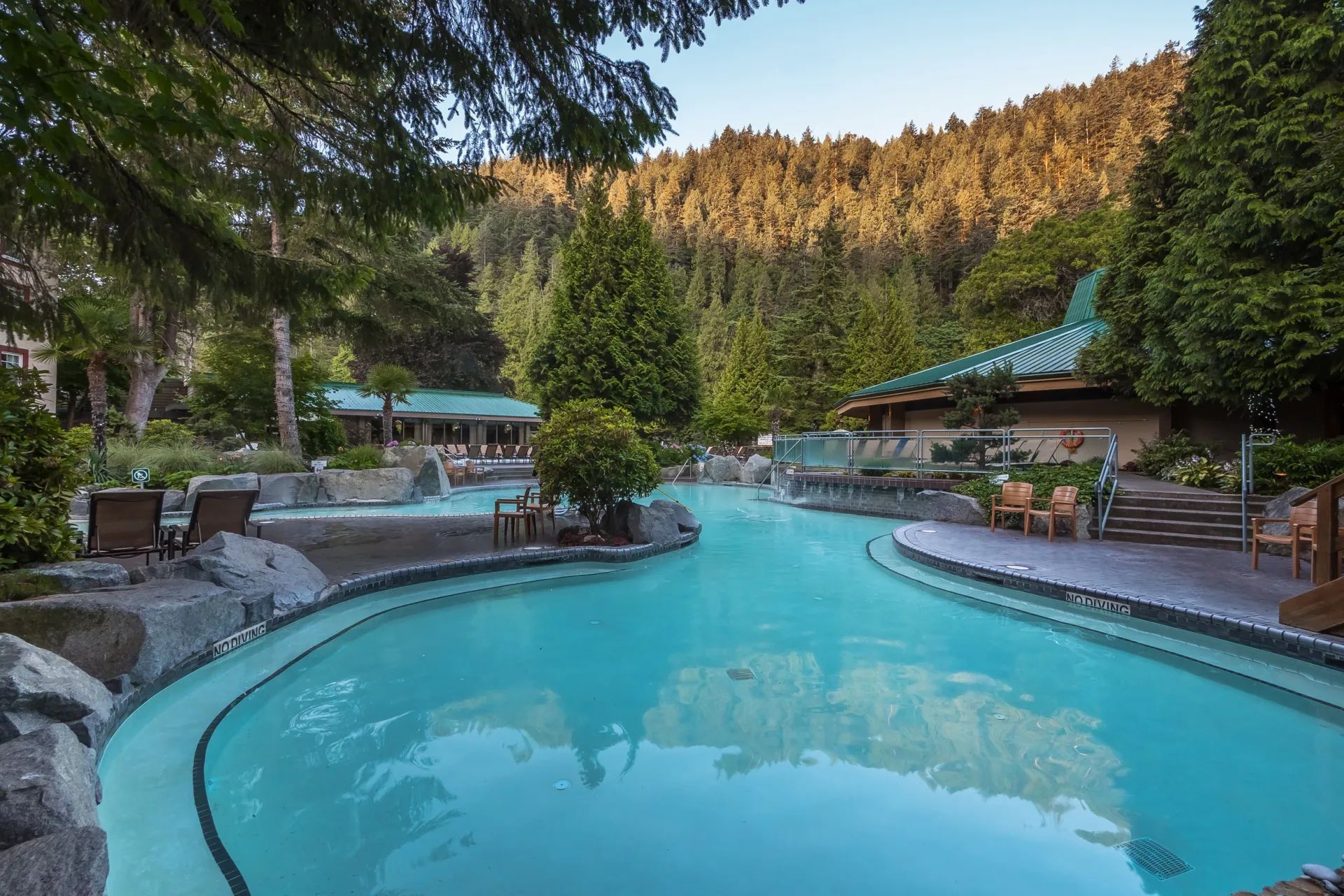 A large swimming pool in the middle of a forest