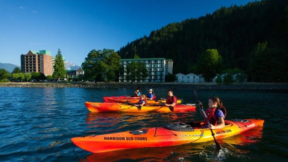 A group of people are paddling kayaks on a lake