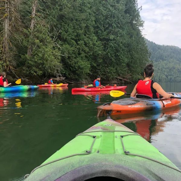 A group of people are paddling kayaks on a lake