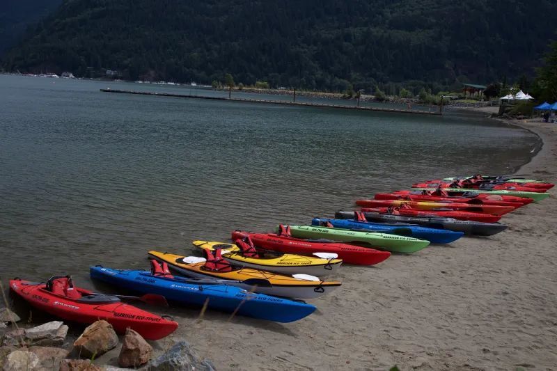 A row of kayaks are lined up on the beach near the water