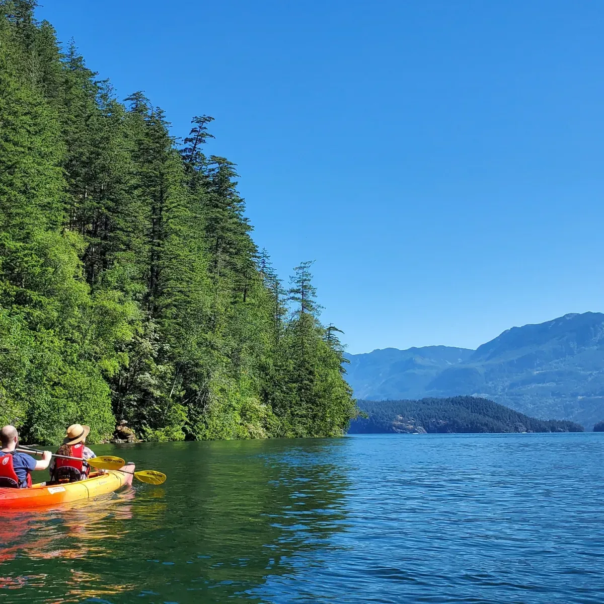 A group of men are holding a large fish in the water