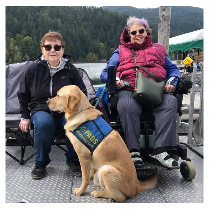 Two women are sitting on a bench with a dog that has pads on it