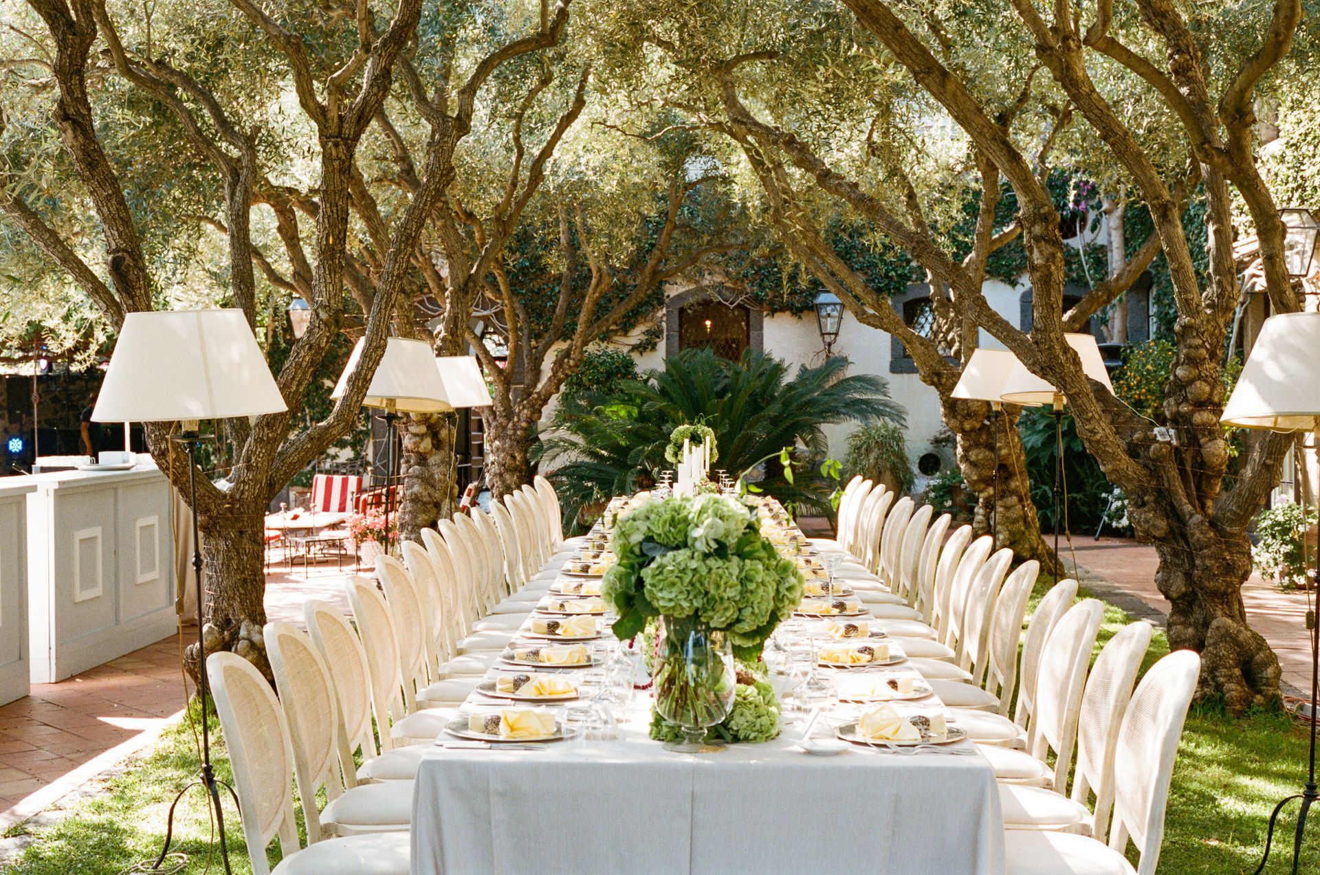 Botanical and floral services, based in Miami & West Palm Beach, FL.