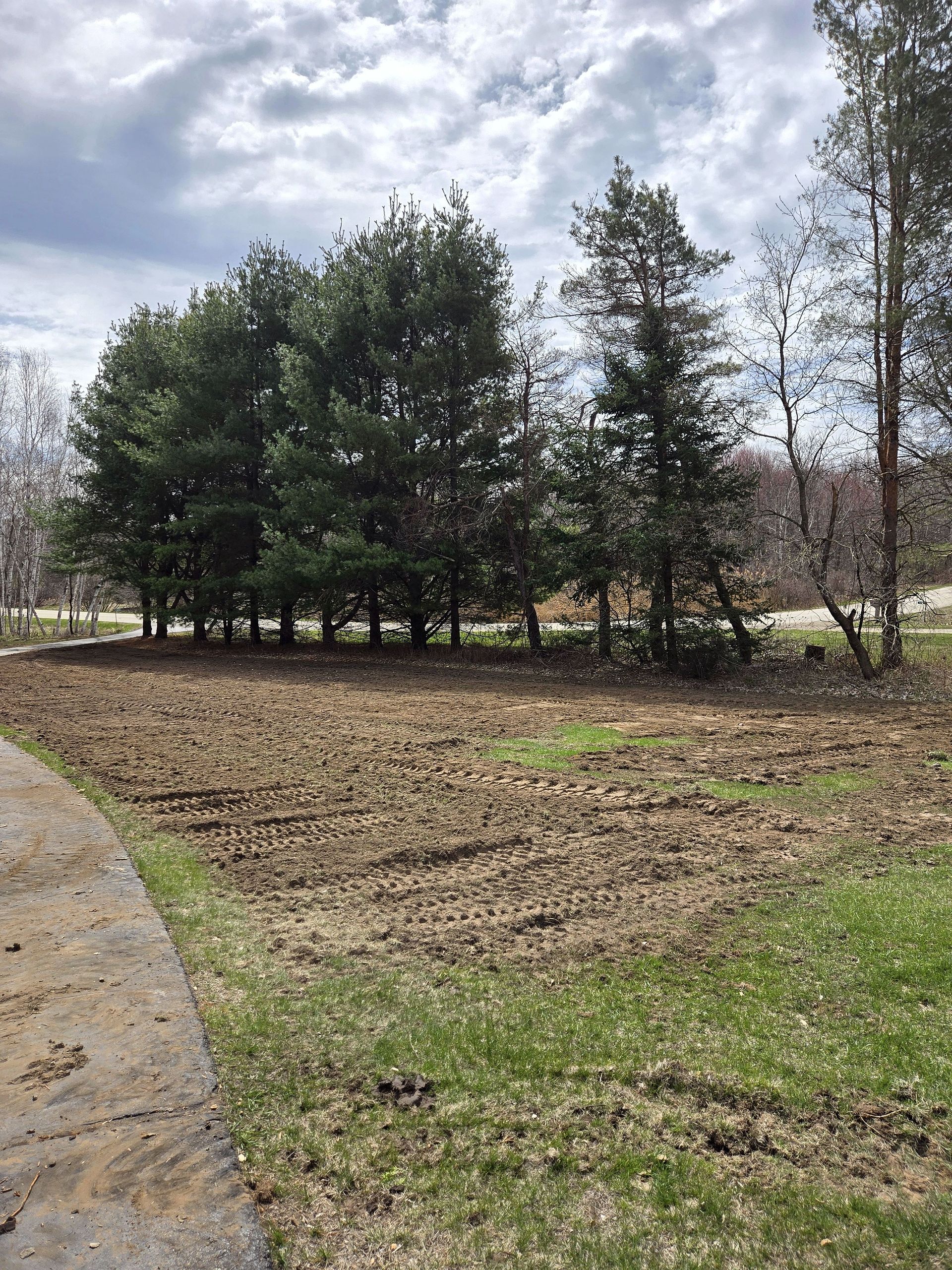 A dirt road going through a field with trees in the background.