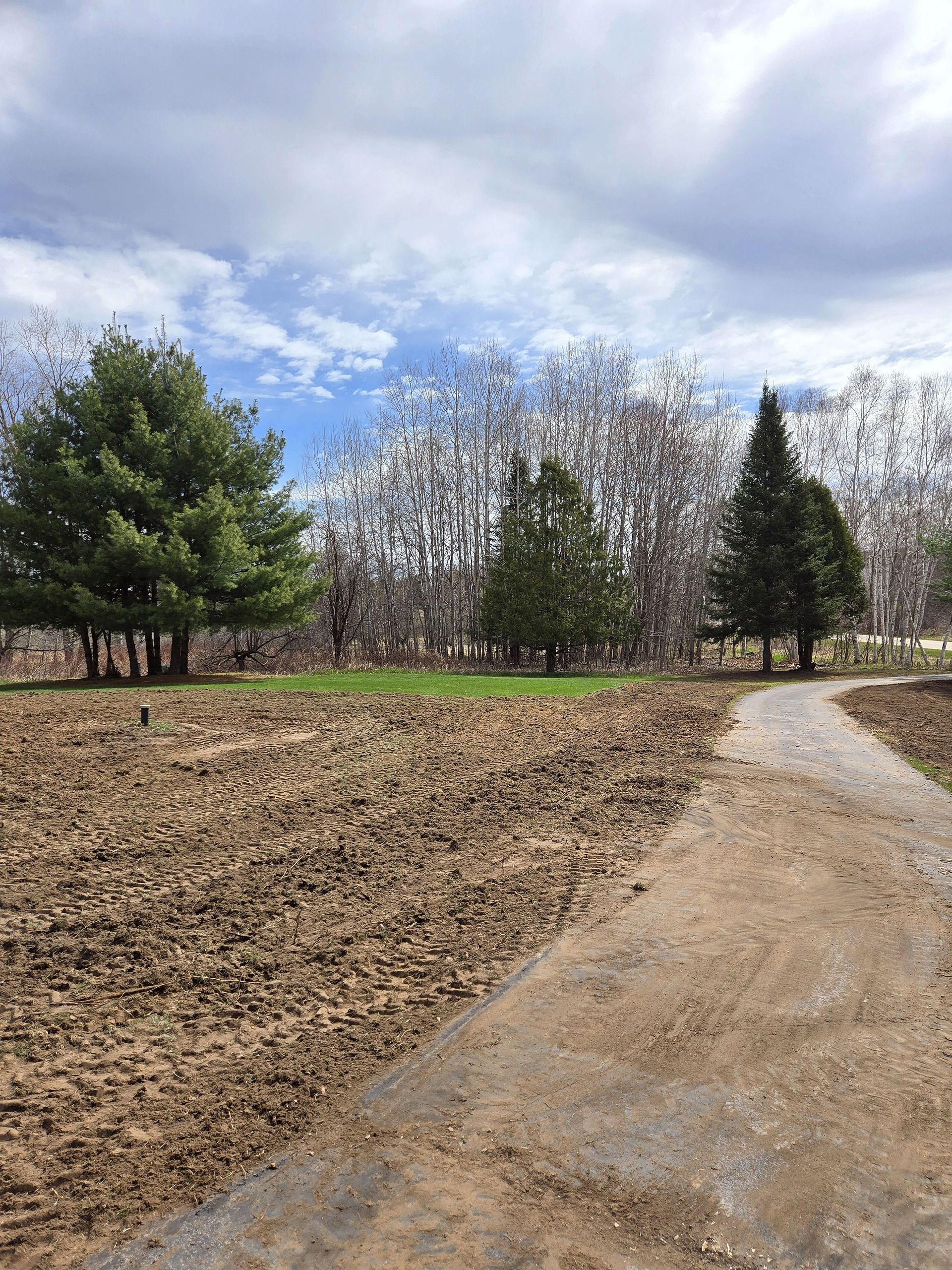 A dirt road going through a field with trees on both sides.