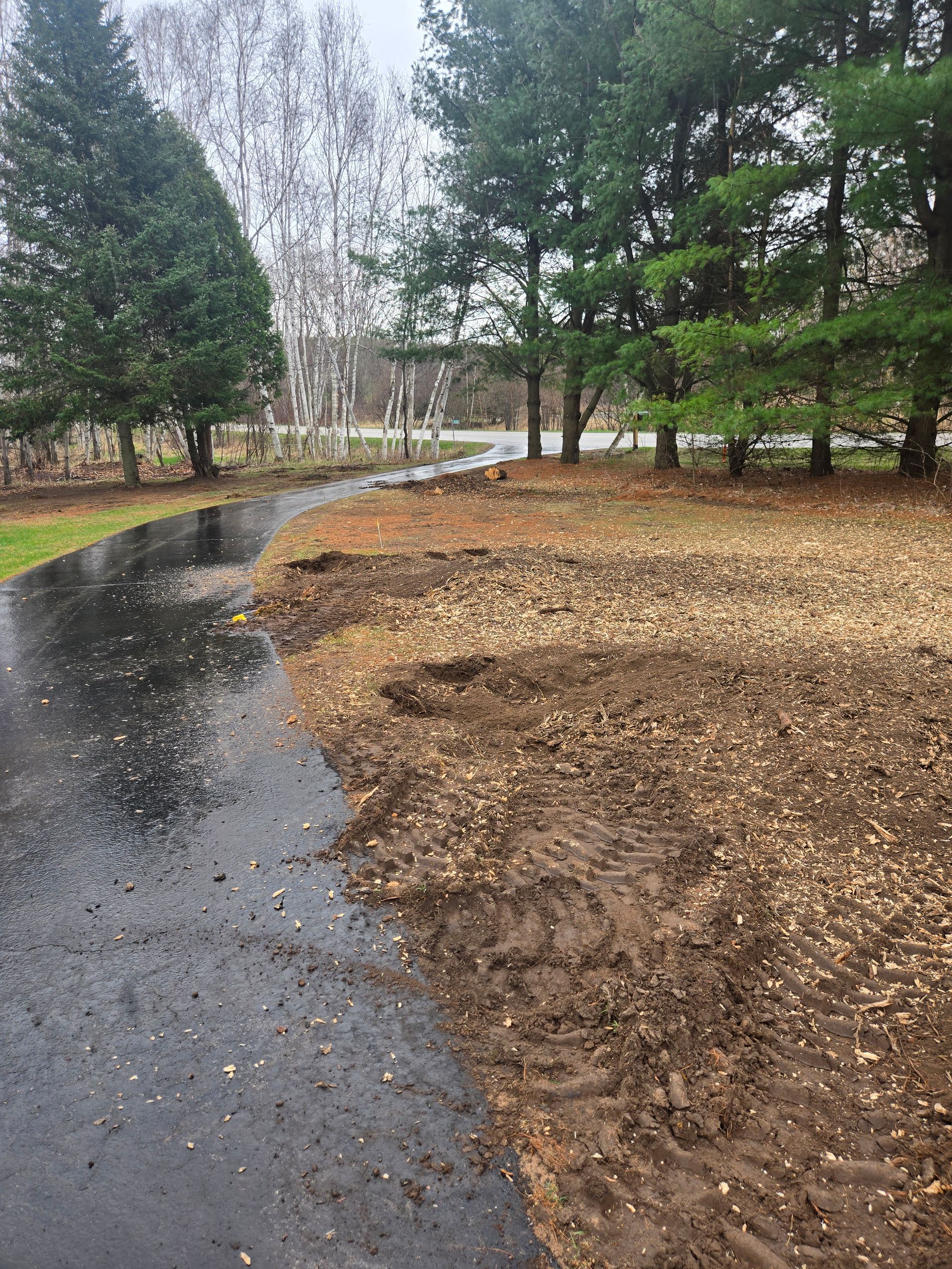 A dirt road going through a forest with trees in the background.