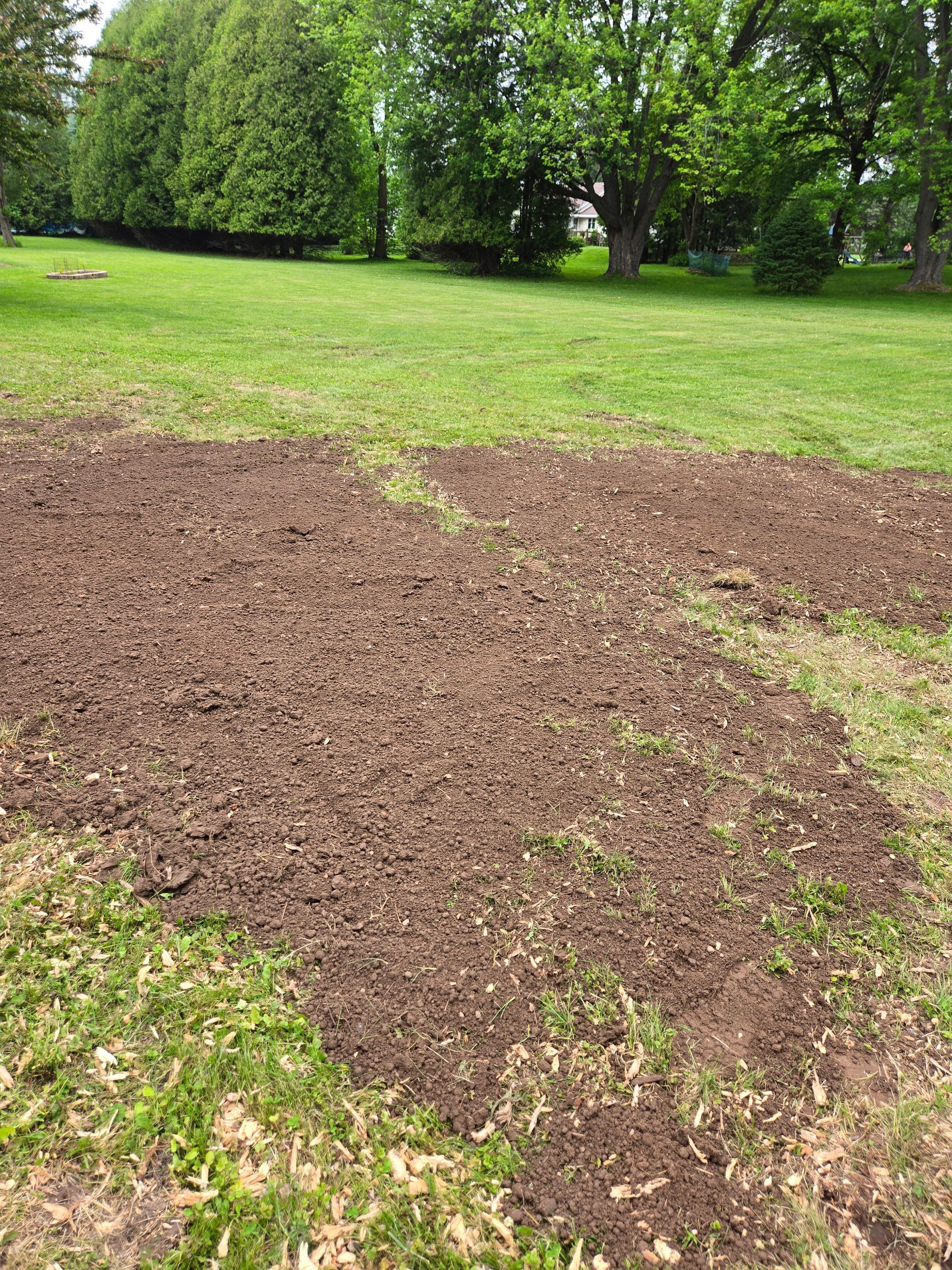 There is a lot of dirt in the middle of a grassy field.