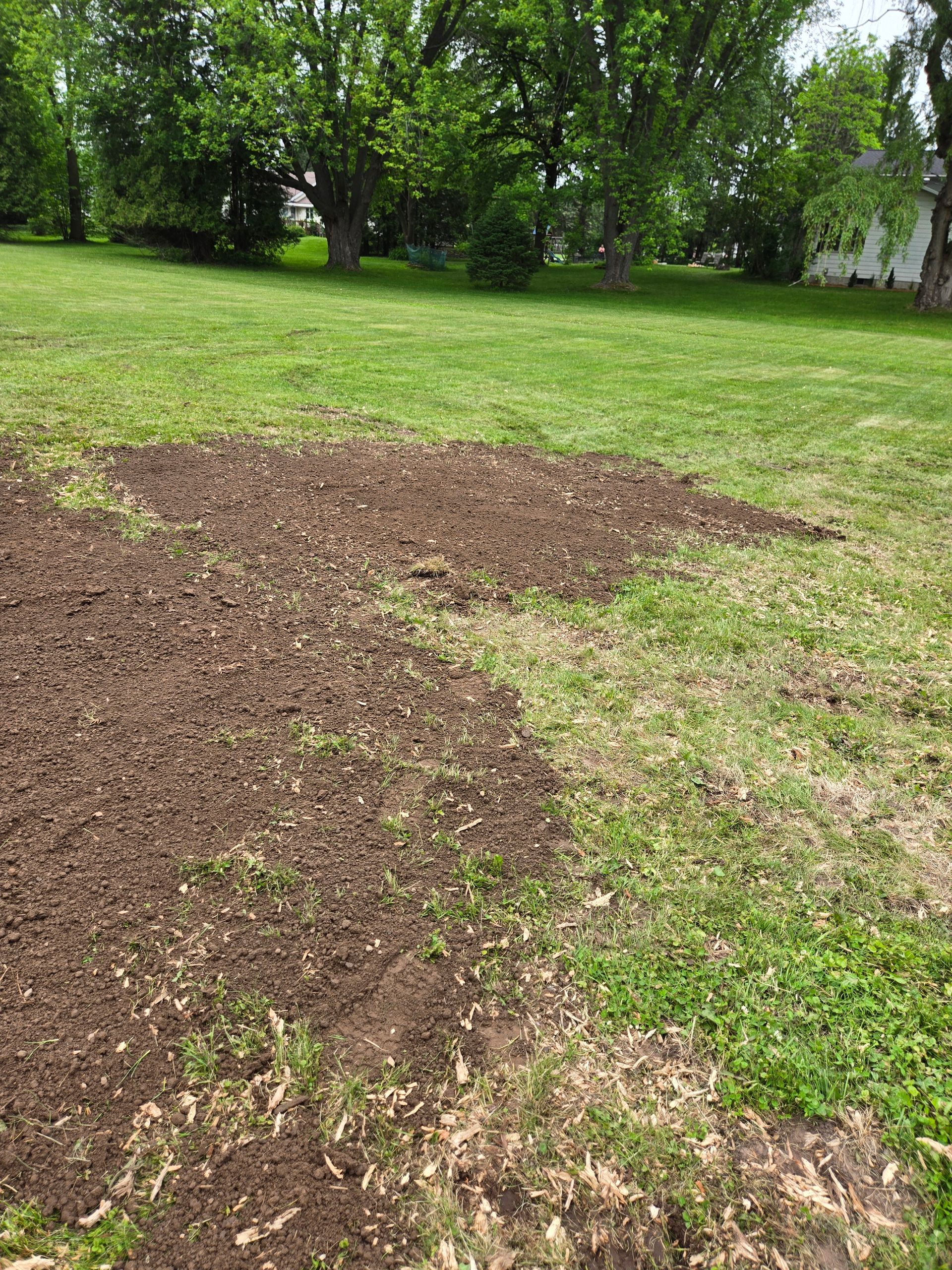 There is a lot of dirt in the middle of the grass.