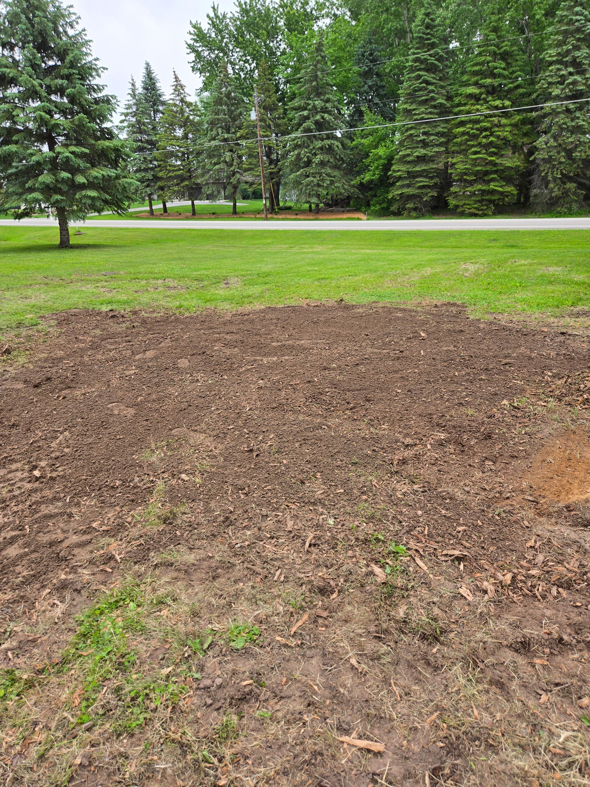 A field of dirt and grass with trees in the background.