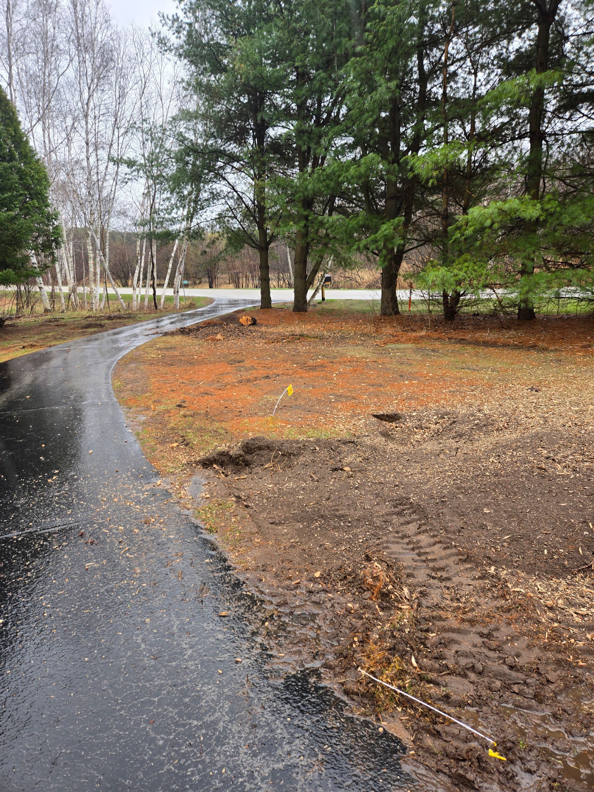 A road going through a forest with trees and leaves on the ground.