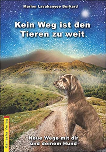 Bei Amazon bestellen
