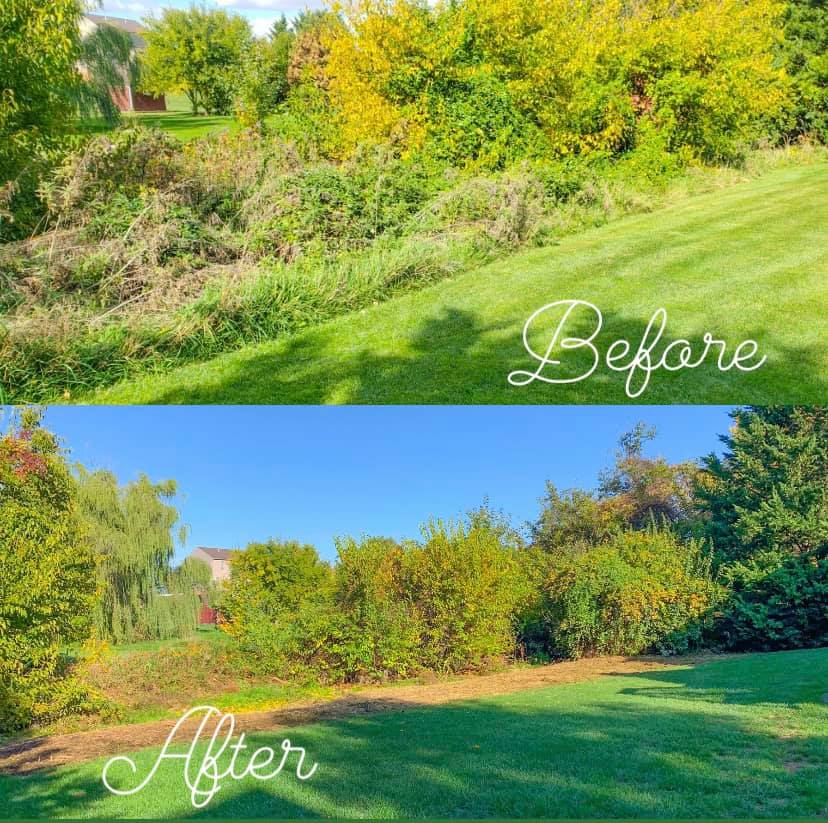 Before And After Lawn Moving — Hagerstown, MD — Potomac Grounds Care