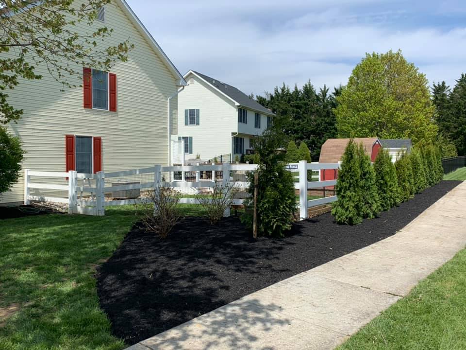 Plant Installation — Hagerstown, MD — Potomac Grounds Care