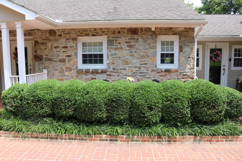 For Trimming Grass — Hagerstown, MD — Potomac Grounds Care