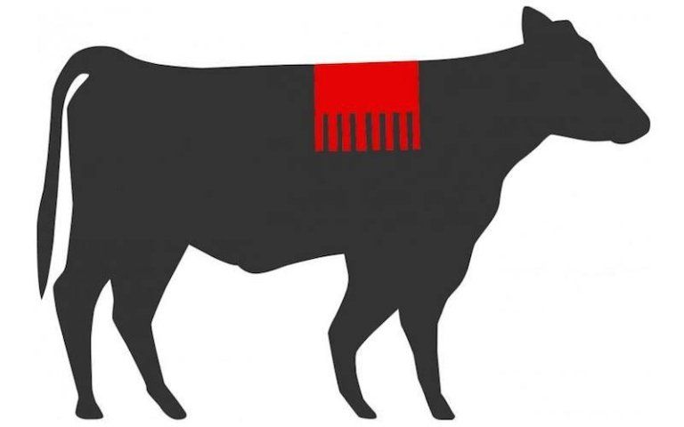 angus irlandese