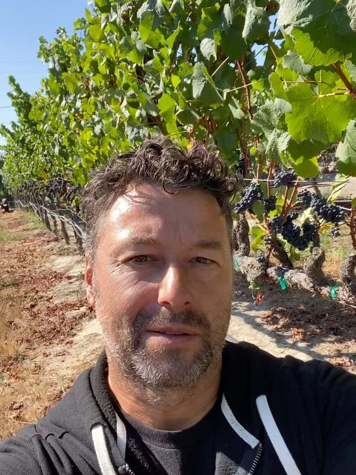 sandro tamburin winemaker anthesis wines