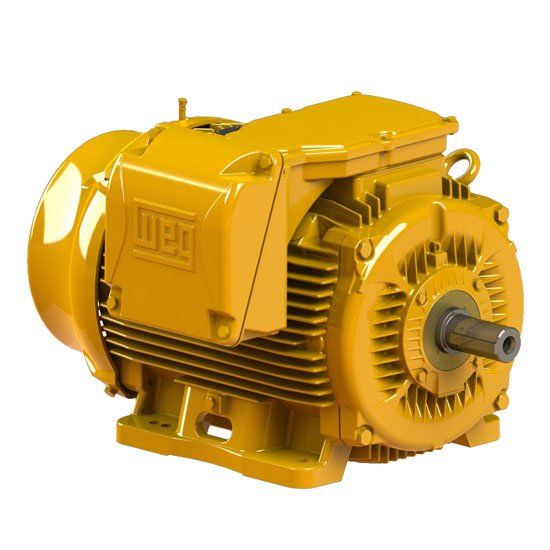 Motor Elétrico Well Plus - Manutronik Motores Elétricos