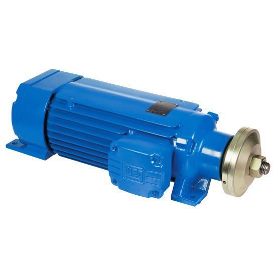 Motor Elétrico para Motosserra - Manutronik Motores Elétricos