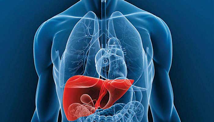 DR. JAVIER VALDEZ FERNÁNDEZ - ESPECIALISTA EN GASTROENTEROLOGÍA