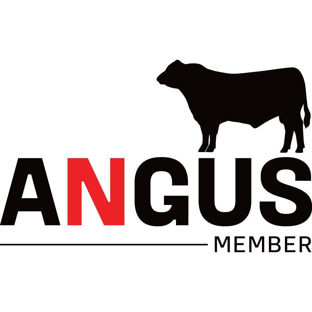 angus member