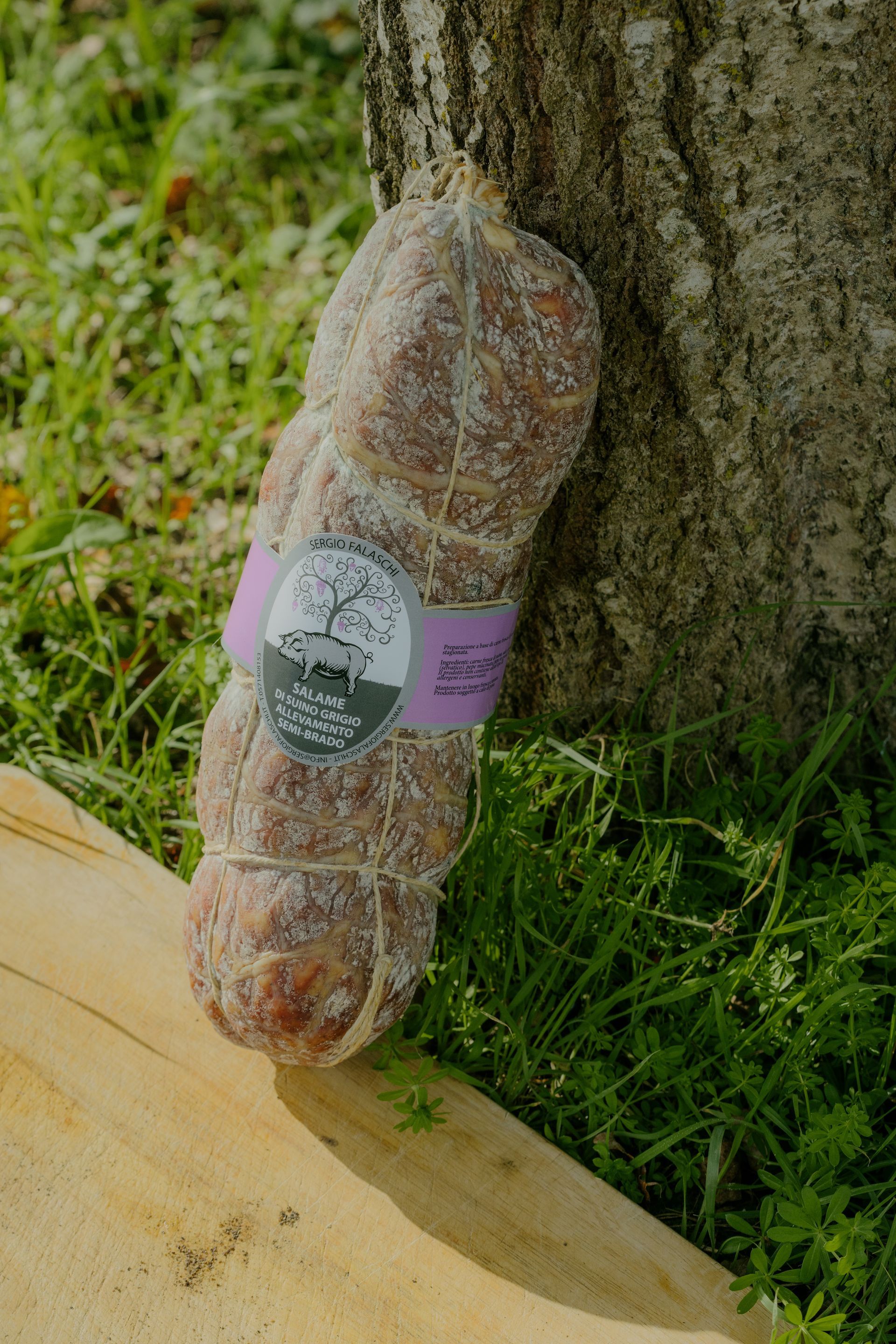 salame di suino grigio