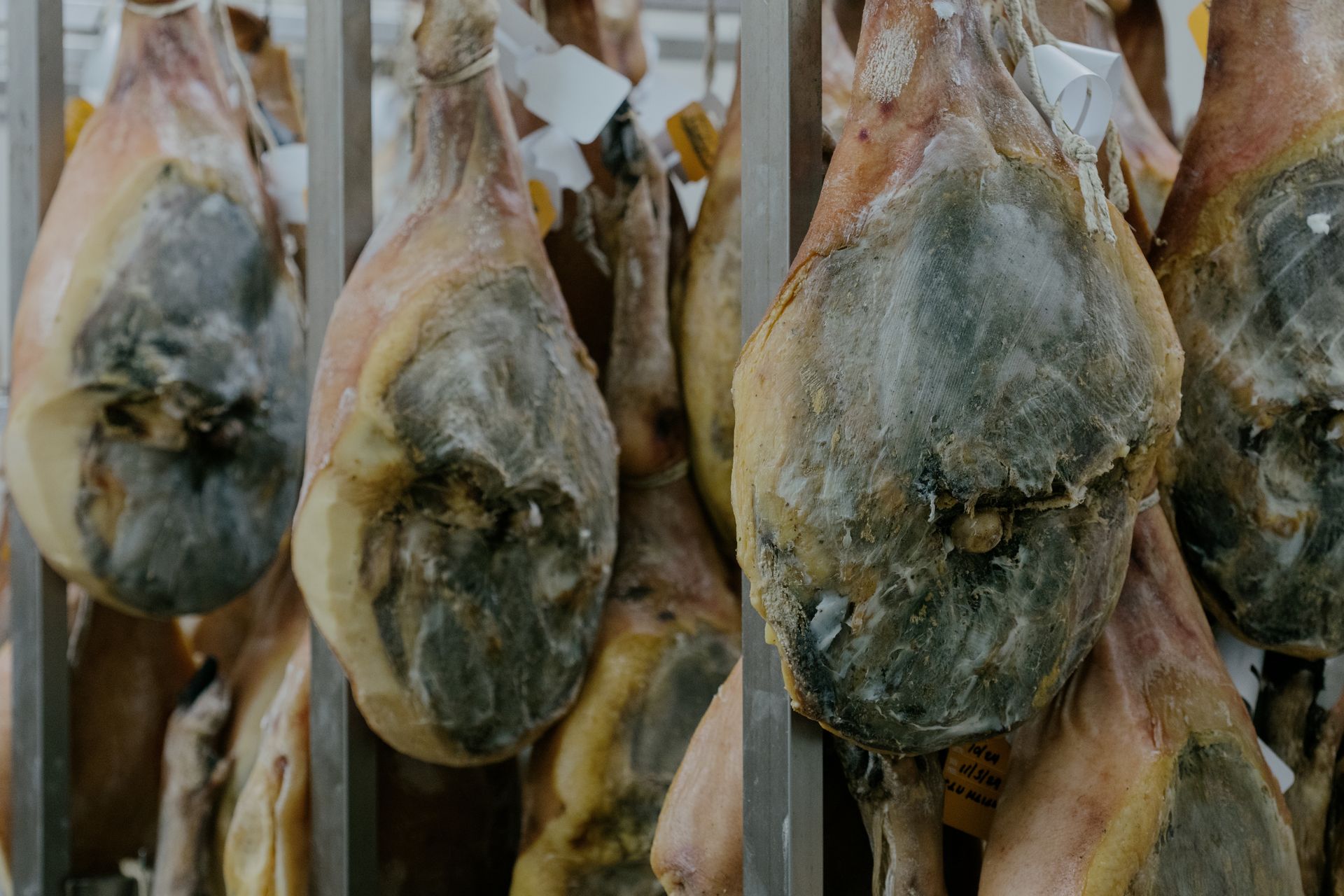 stagionatura prosciutti