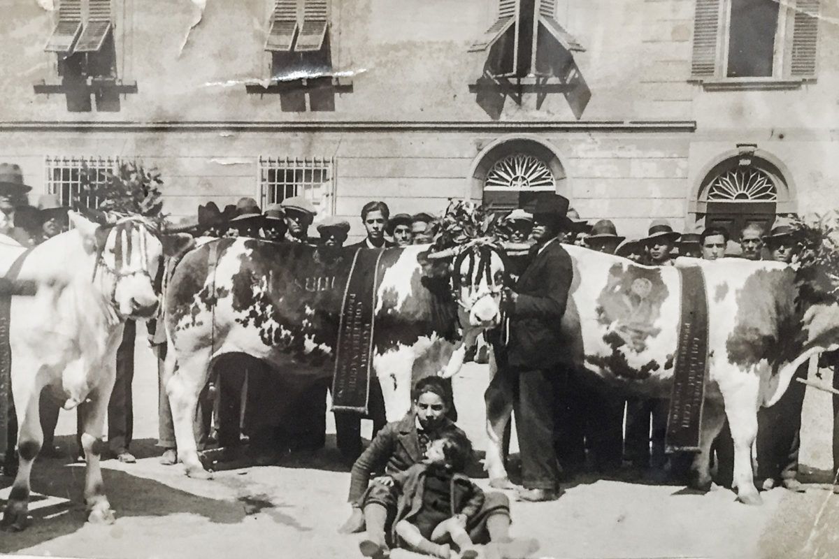 laboratorio falaschi