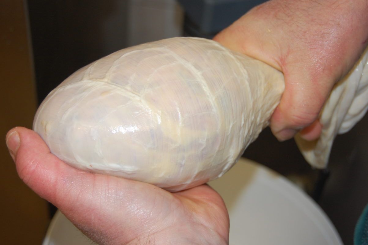 insaccatura salsiccia