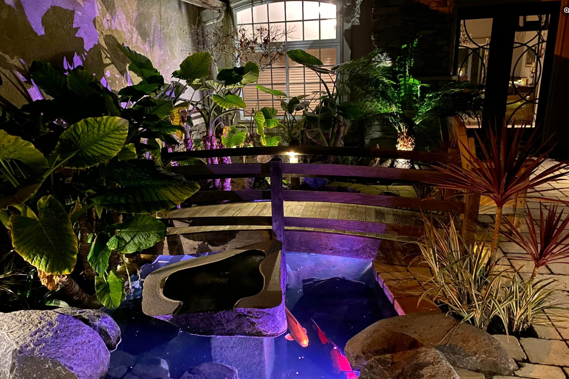 Custom built pond with koi fish and bridge
