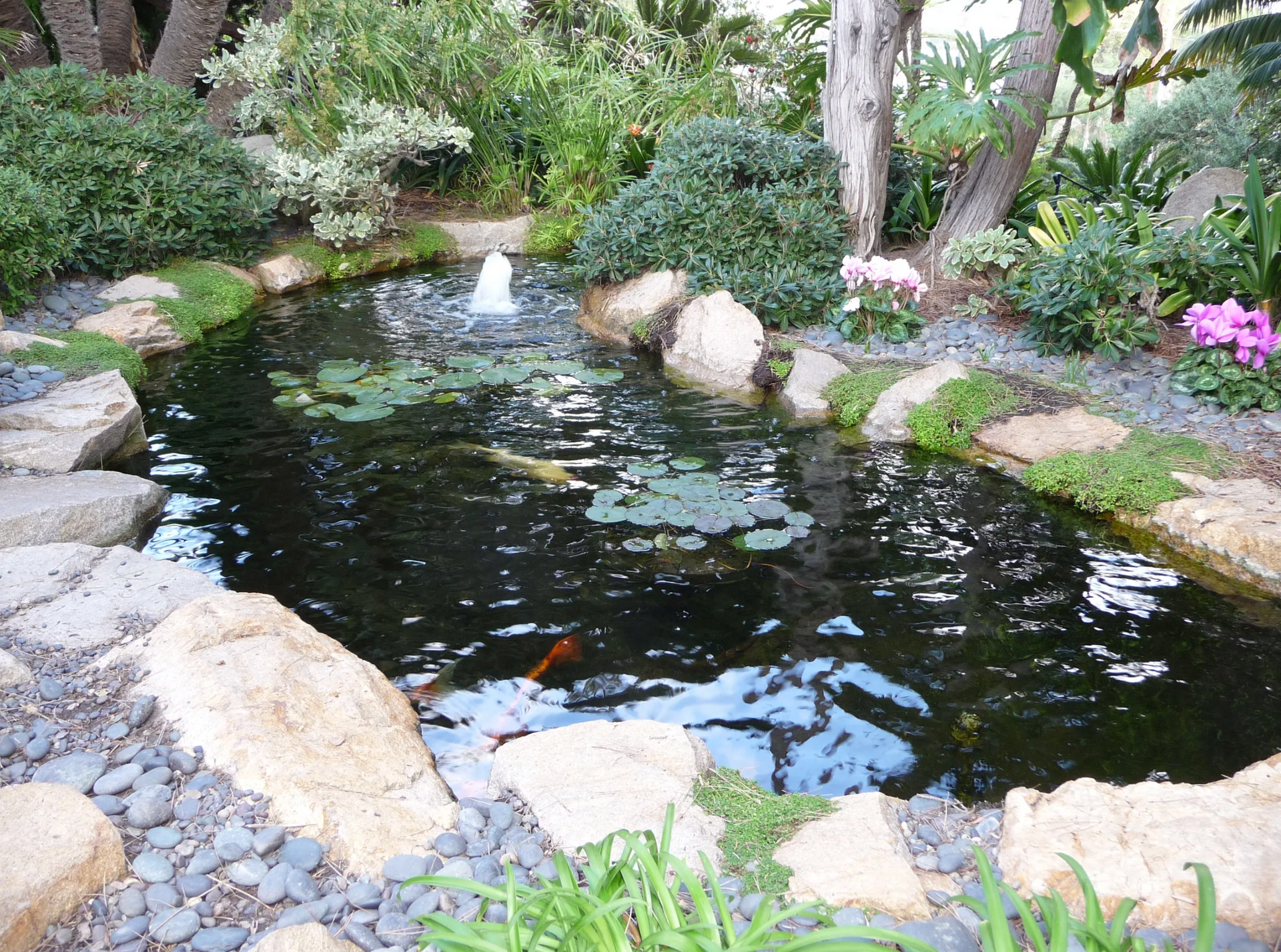 custom built pond is beautiful landscape