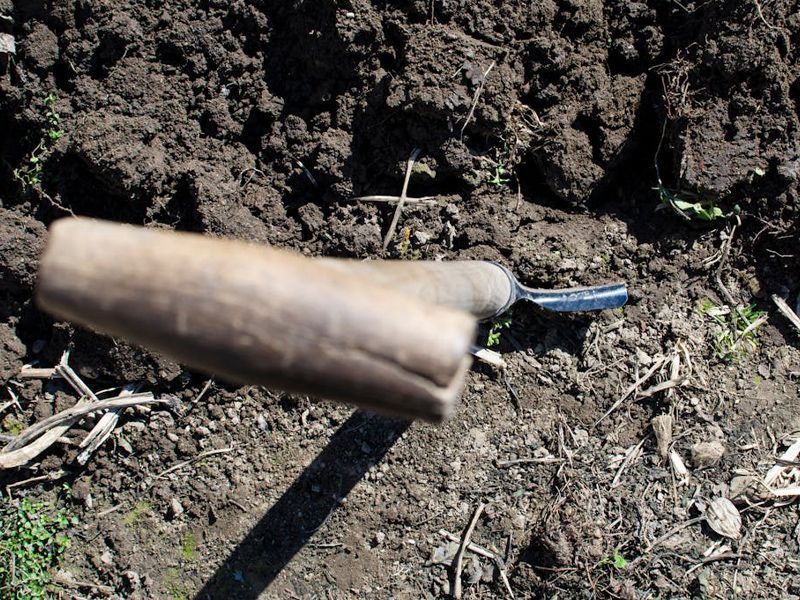 Excavation