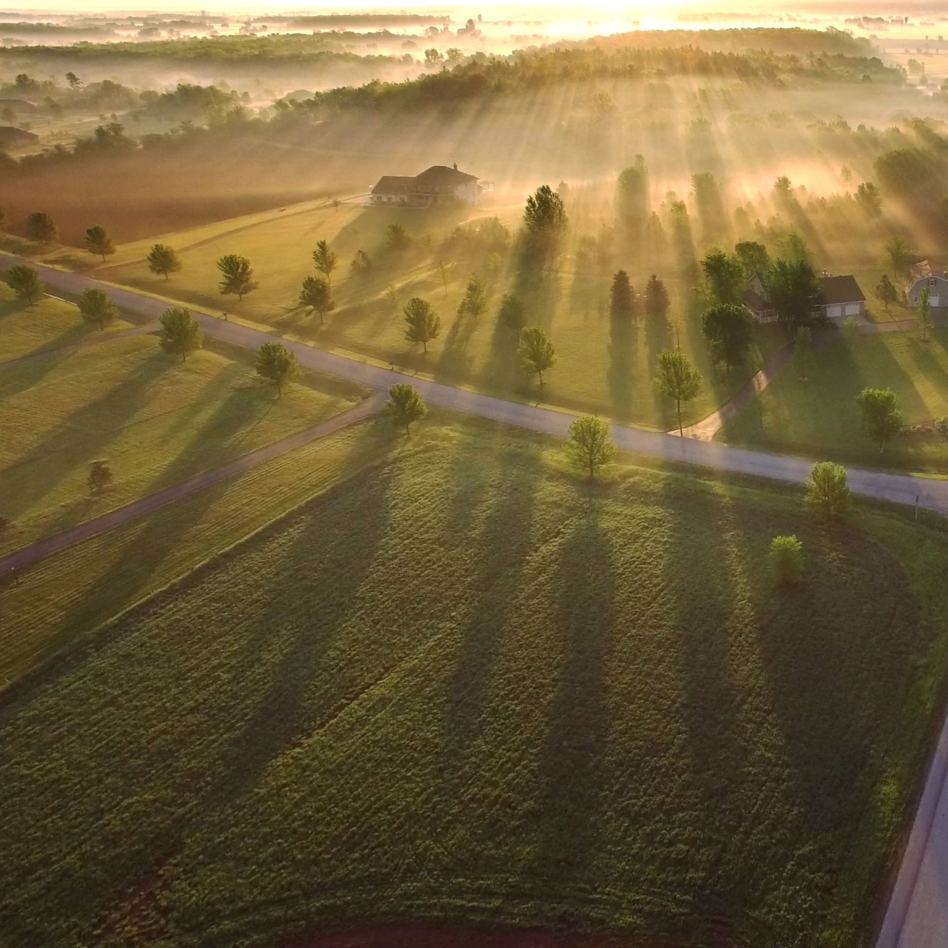 Golden sunrise over misty fields with long shadows stretching across a rural landscape.