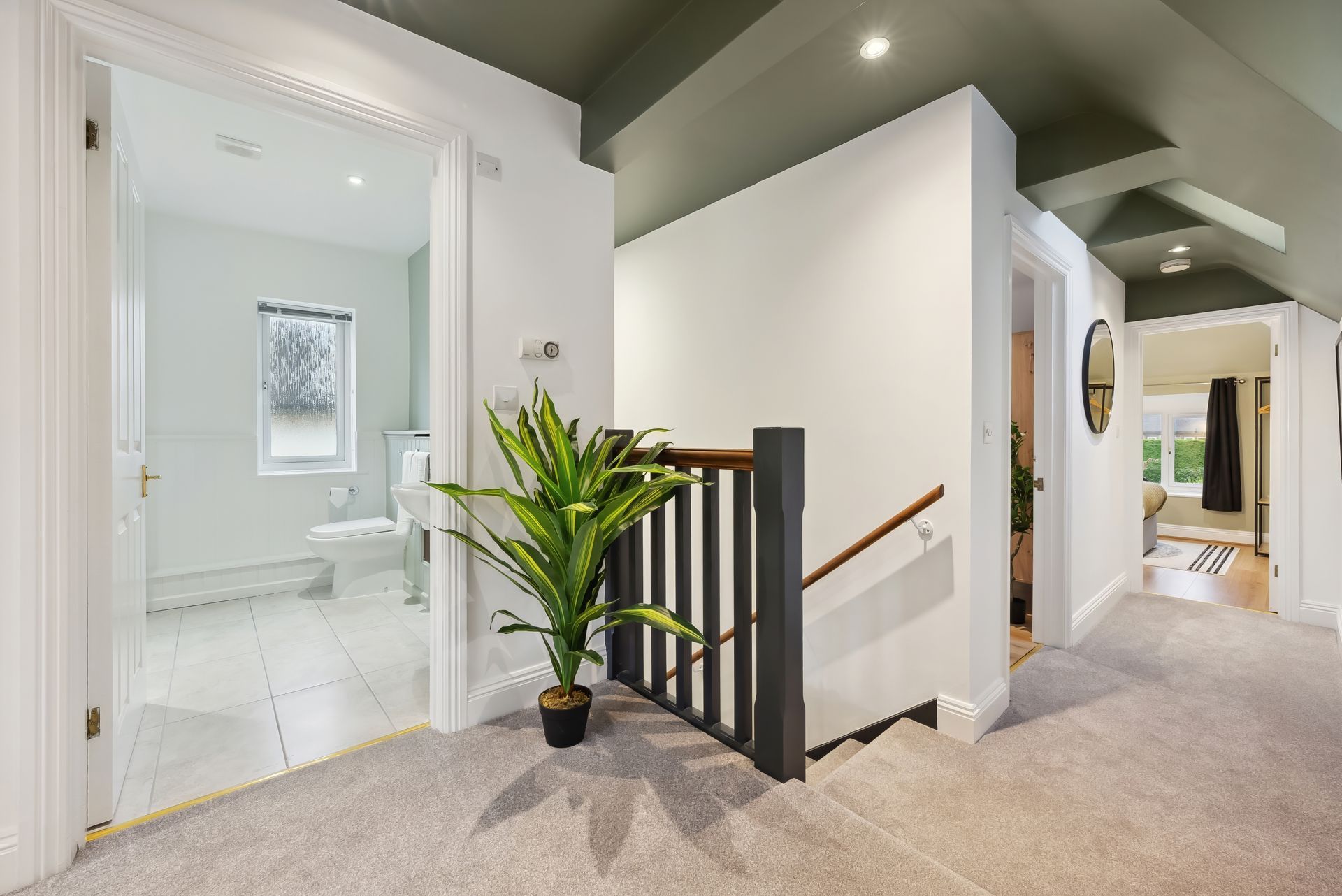 Hallway with bathroom on left, room on right, carpet, stairs, green ceiling, plant.