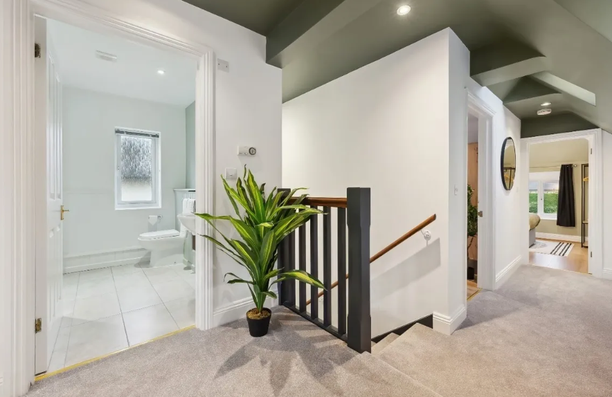 Hallway with staircase, open doors to bathroom and bedroom, green ceiling, potted plant.