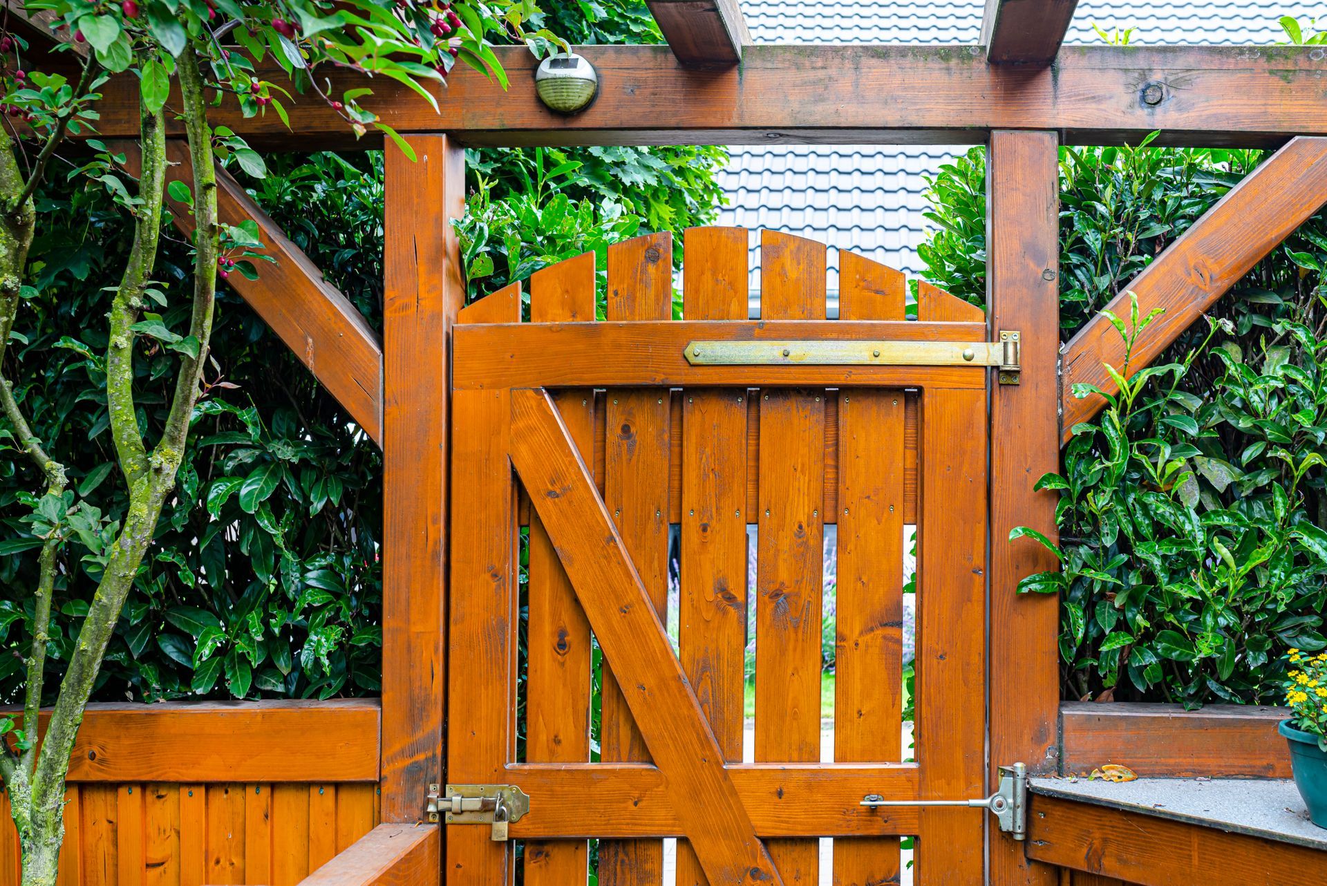 Wooden gate in a backyard with a lush green hedge background.