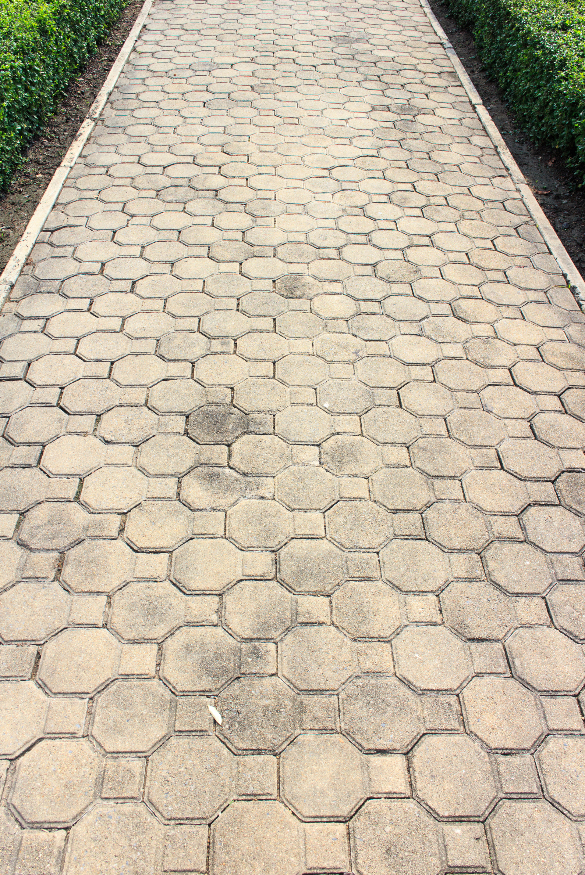 A brick walkway in a garden a hedge in the background. Jarvis & Son Renovations,