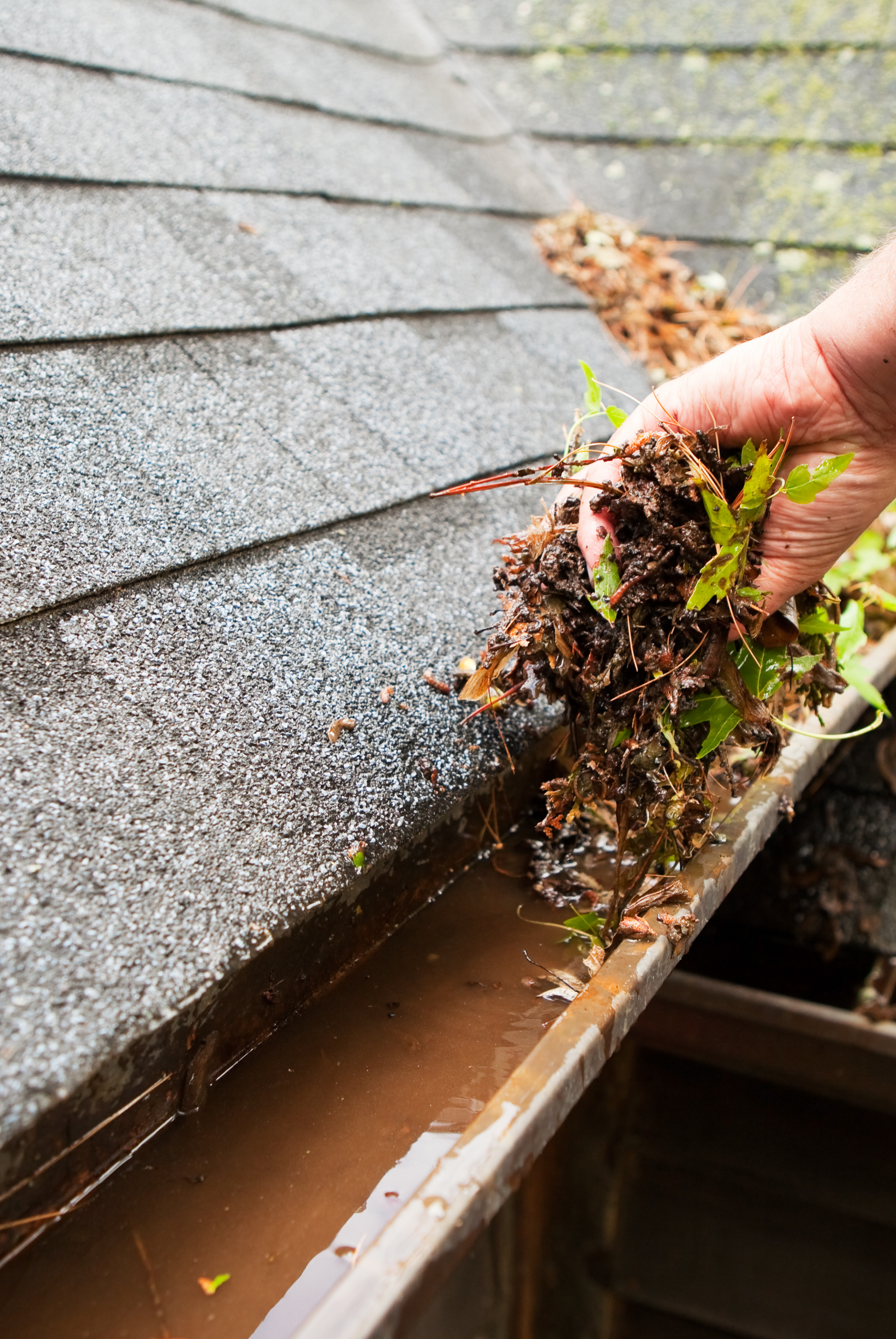 A person is cleaning a gutter from the roof of a house. Jarvis & Son Renovations,