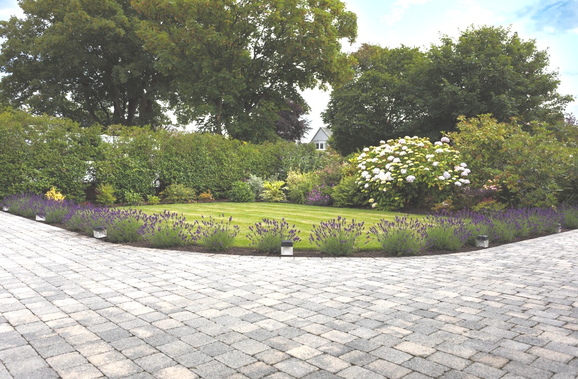 A brick driveway leading to a lush green garden surrounded by trees and bushes.