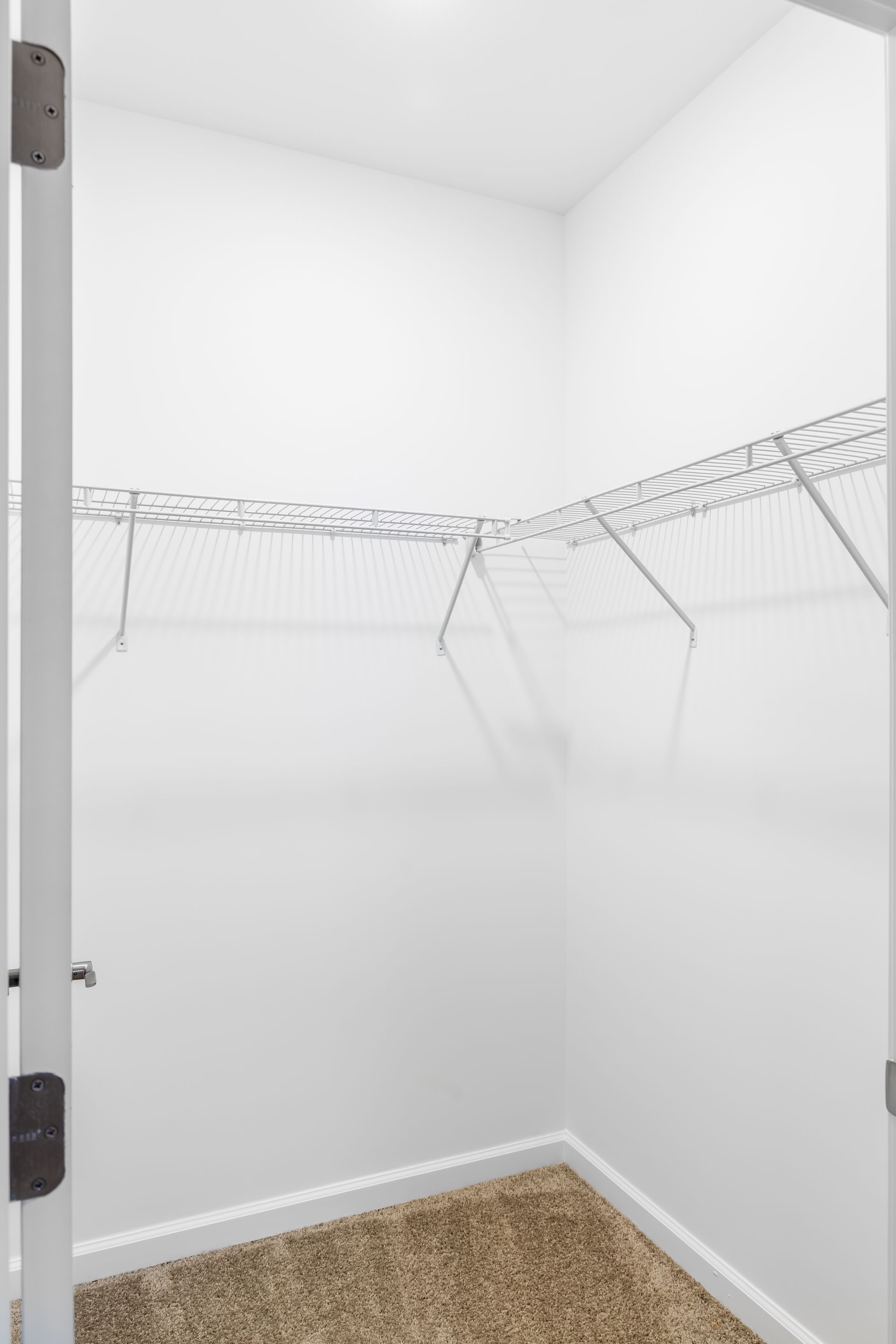 Empty walk-in closet with white walls, wire shelving, and tan carpet.