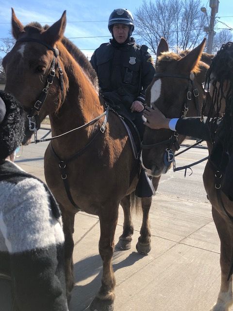 A police officer on horseback interacting with people reaching out to pet the horses on a sunny day.