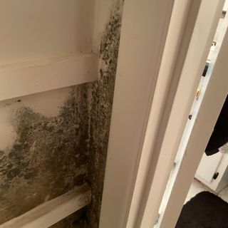 Mold Remediation in Snellville GA